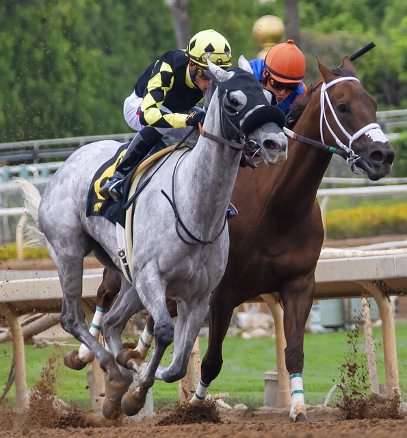 如何在类似 如何在类似